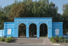 НАПЕРЕДОДНІ ДНЯ НЕЗАЛЕЖНОСТІ