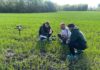 АГРОСКАУТИНГ. МОНІТОРИНГ ПОСІВІВ