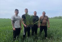 АГРОСКАУТИНГ. ДІАГНОСТИКА ОЗИМОЇ ПШЕНИЦІ